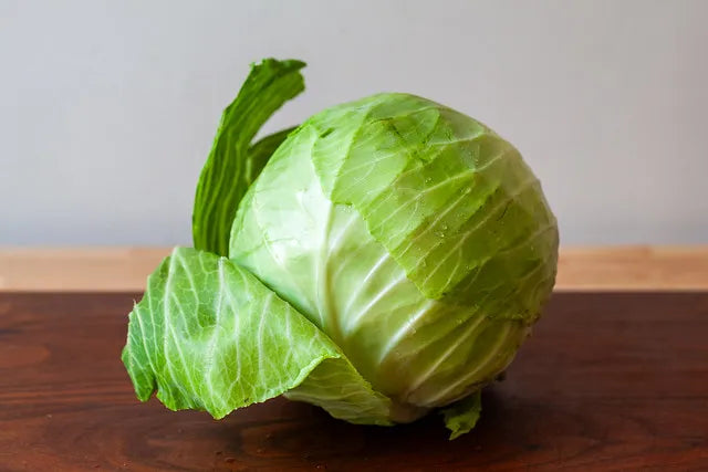 Cabbage