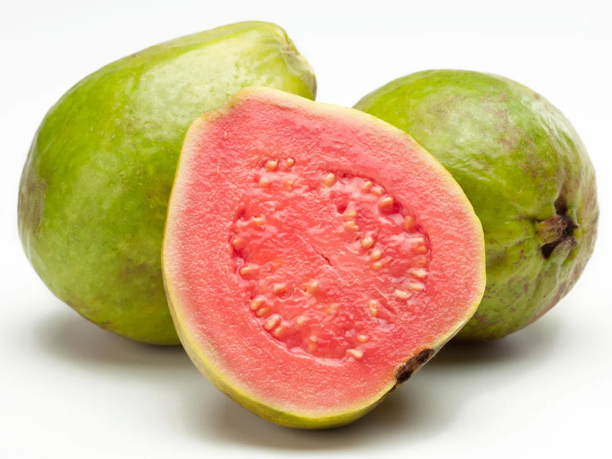 Guava