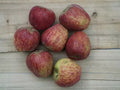 Shimla Apple 450-500 gm next day delivery