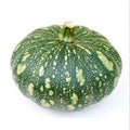 Pumpkin (kaddu) next day delivery 500 gm