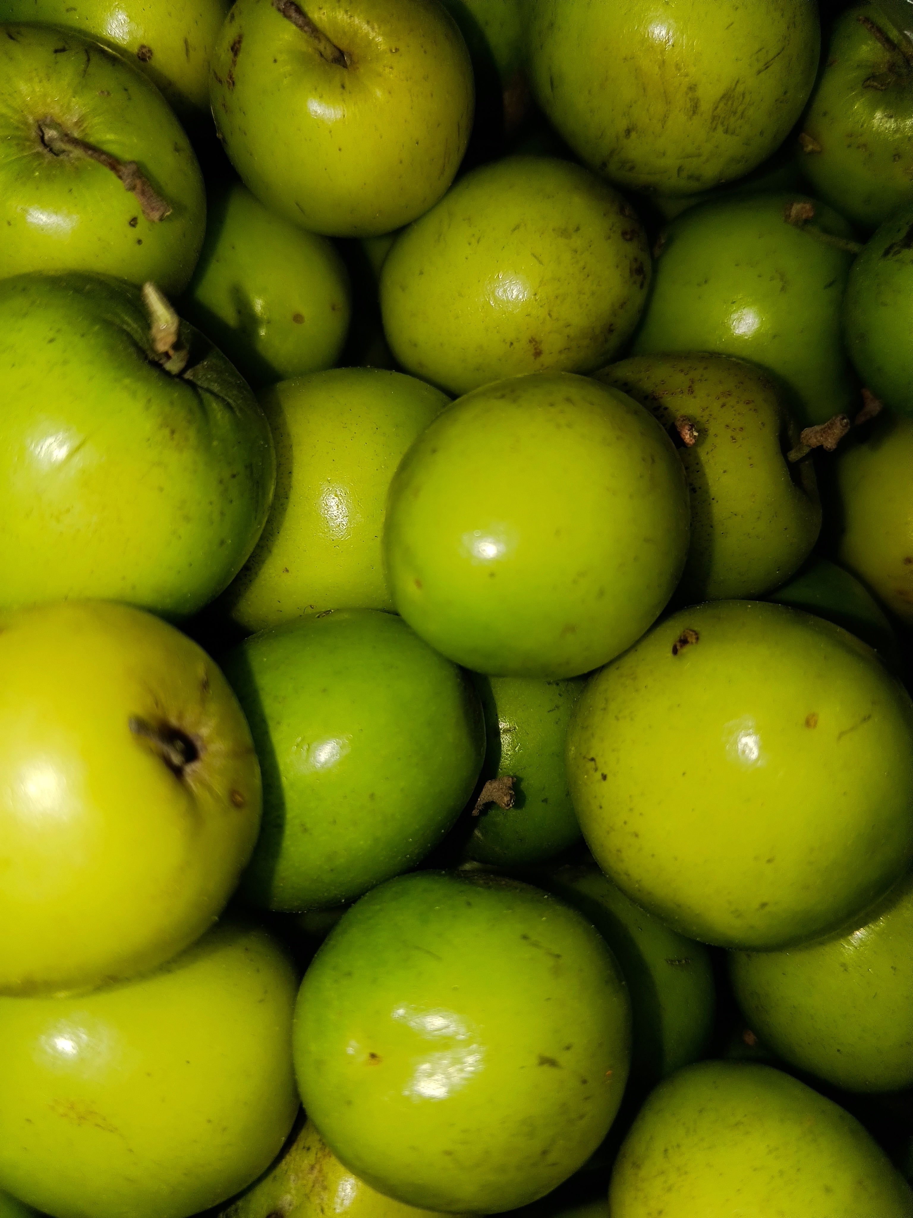 Ber(indian jujube)250 gm