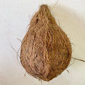 Brown coconut/next day delivery