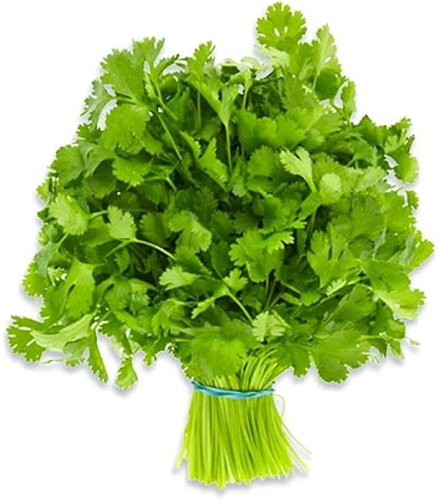 Coriander (dhaniya) 100 gm/next day delivery